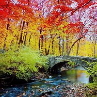 lisa.davies.50309277 avatar