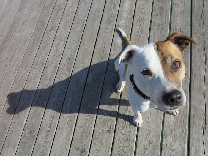 Phantom Of The Opera