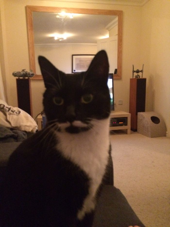 Charles, Our House Butler, Full Tuxedo And Dapper Moustache.