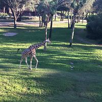 reeditandweep avatar