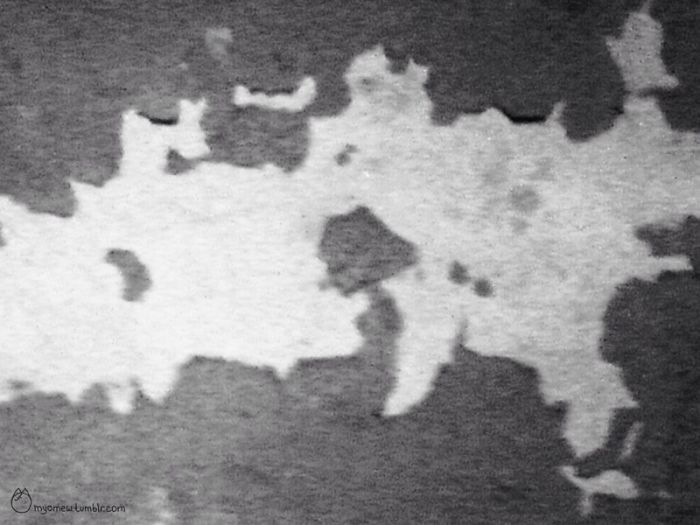 I Turn Urban Decay Into Illustrations I Turn Urban Decay Into Illustrations