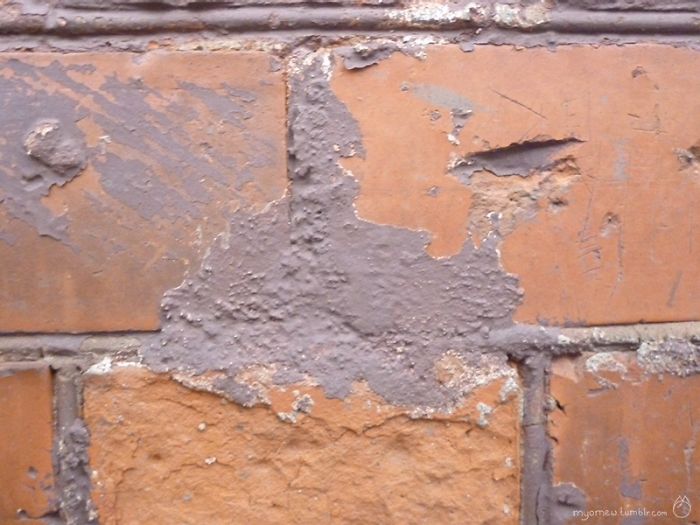 I Turn Urban Decay Into Illustrations