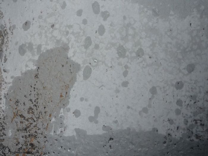 I Turn Urban Decay Into Illustrations