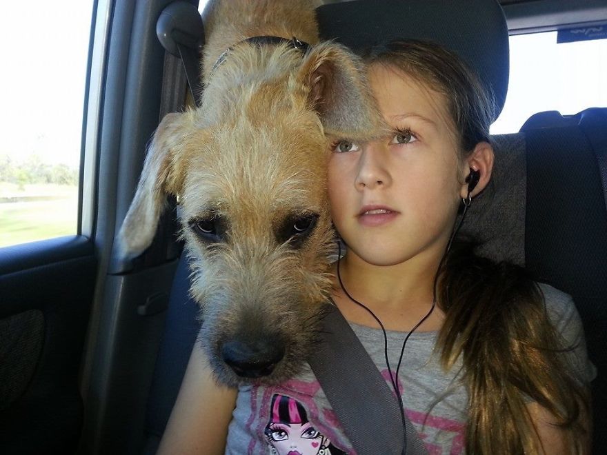 Watching Movies In The Car Keeps Everyone Happy!