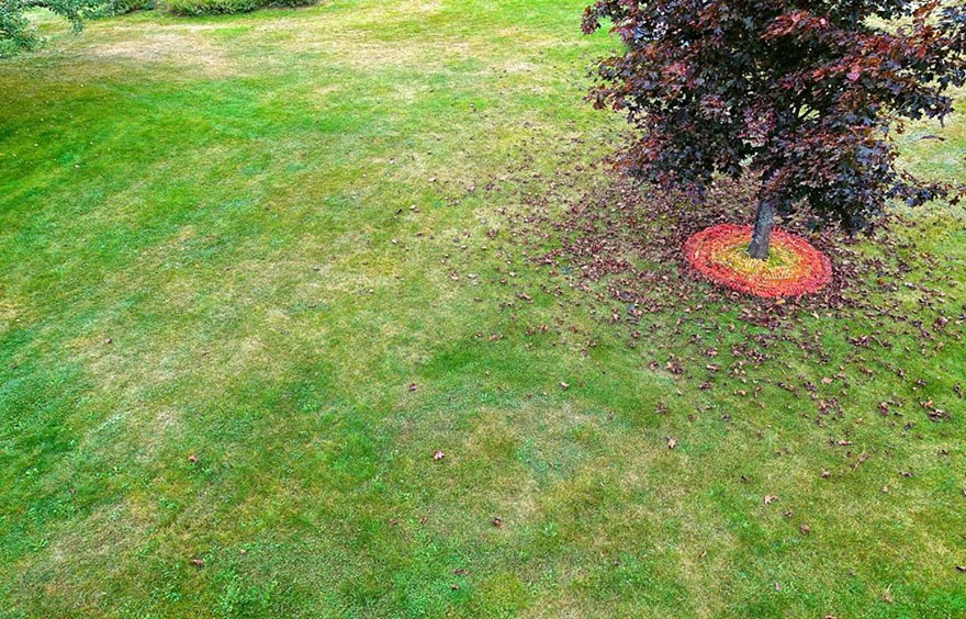 installation-4 installation-4