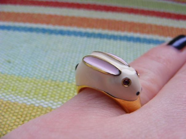 Robi Rabbit By Chic Pig