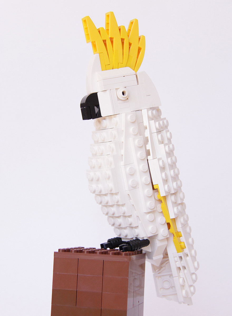 Bird Enthusiast Creates LEGO Birds And 10,000 Supporters Get LEGO To Mass-Produce Them Bird Enthusiast Creates LEGO Birds And 10,000 Supporters Get LEGO To Mass-Produce Them
