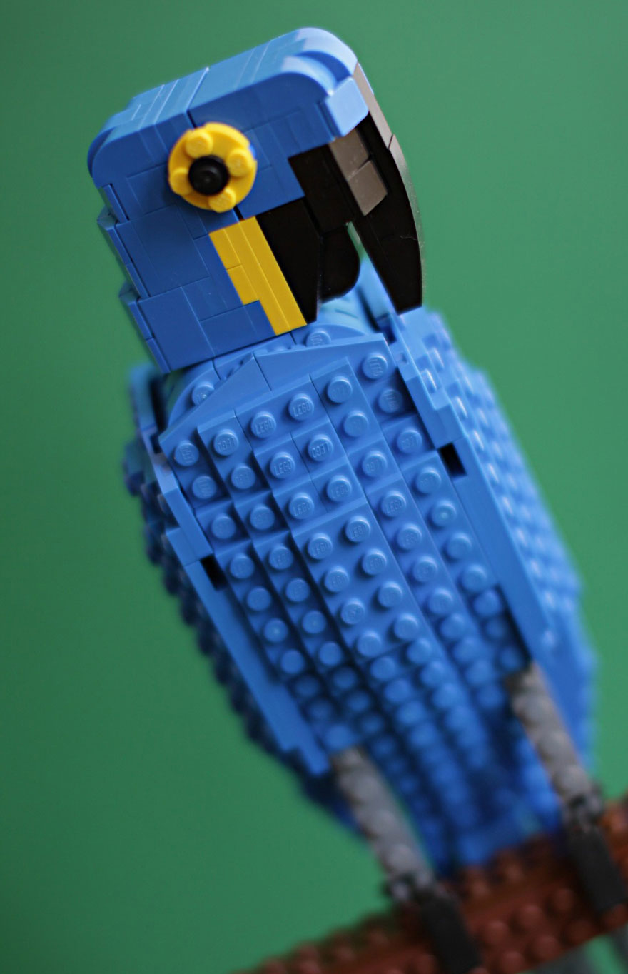 Bird Enthusiast Creates LEGO Birds And 10,000 Supporters Get LEGO To Mass-Produce Them Bird Enthusiast Creates LEGO Birds And 10,000 Supporters Get LEGO To Mass-Produce Them