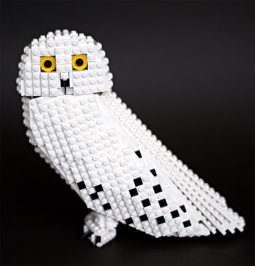 Bird Enthusiast Creates LEGO Birds And 10,000 Supporters Get LEGO To Mass-Produce Them Bird Enthusiast Creates LEGO Birds And 10,000 Supporters Get LEGO To Mass-Produce Them