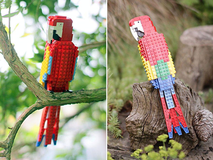 Bird Enthusiast Creates LEGO Birds And 10,000 Supporters Get LEGO To Mass-Produce Them Bird Enthusiast Creates LEGO Birds And 10,000 Supporters Get LEGO To Mass-Produce Them