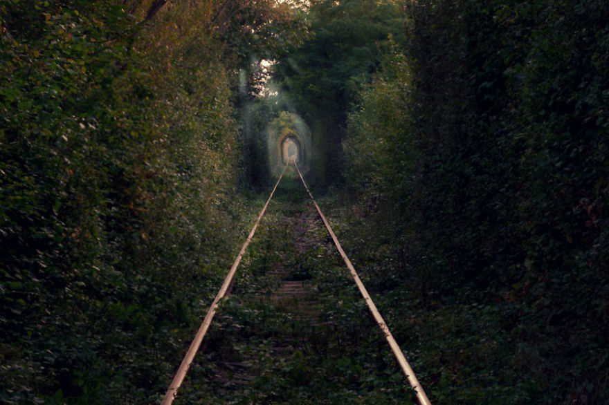 The Tunnel Of Love Again