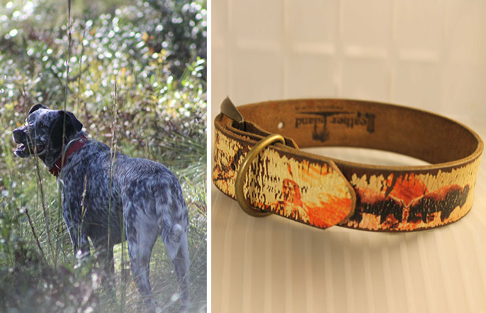 Lucky Dog Upcycle: My Rescue Dog Inspired Me To Create Dog Collars Out Of Old Belts