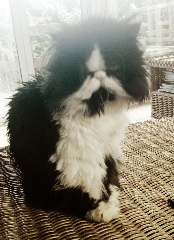 Molly - Peace Sign Facial Hair. That's Where The Peace Ends..