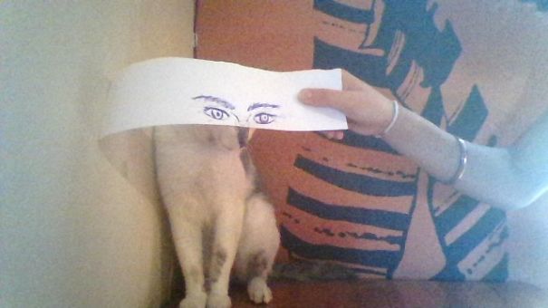 Max, African Heart Backpackers, South Africa