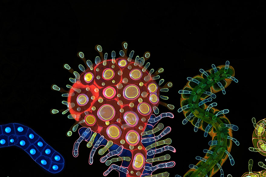 psychedelic-art-poured-resin-paintings-bruce-riley-12 psychedelic-art-poured-resin-paintings-bruce-riley-12