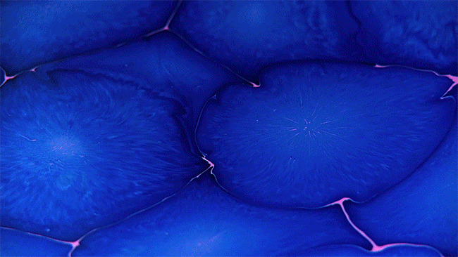 psychedelic-art-poured-resin-paintings-bruce-riley-4 psychedelic-art-poured-resin-paintings-bruce-riley-4