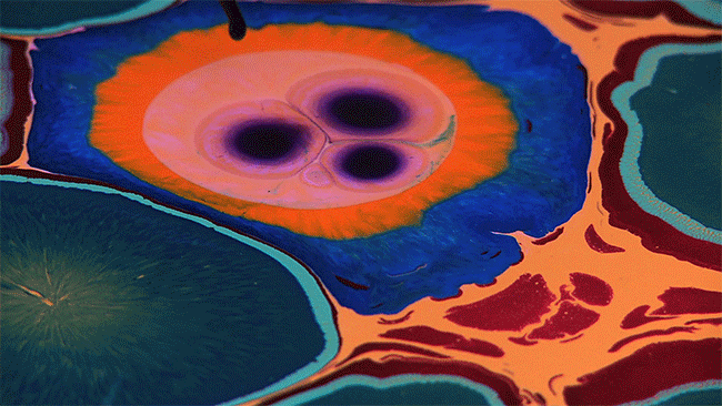 psychedelic-art-poured-resin-paintings-bruce-riley-5 psychedelic-art-poured-resin-paintings-bruce-riley-5