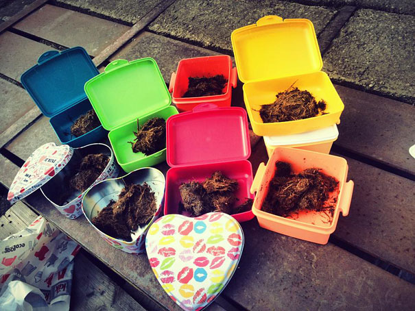 shit-express-12 shit-express-12