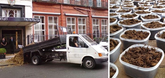 You Can Now Anonymously Send Poop To Your Enemies