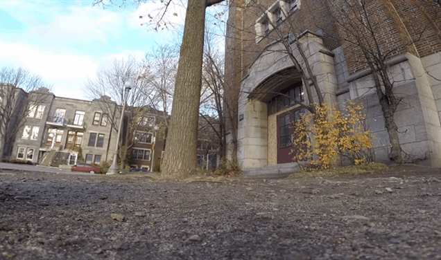 squirrel-takes-gopro-1