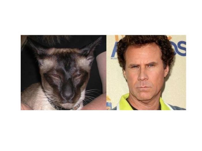 Stinker And Will Ferrell