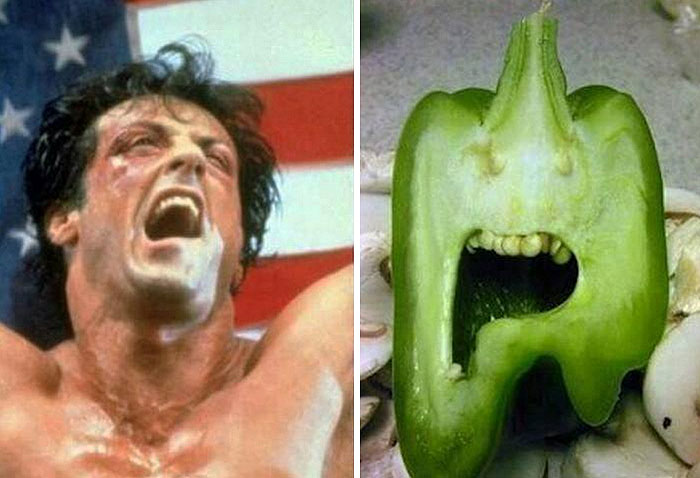 Paprika looks like Sylvester Stallone