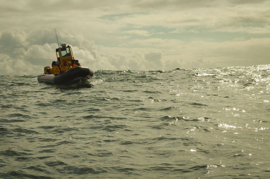 Whale Watching Tofino - Bc