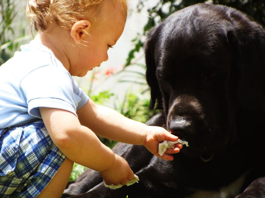 My Son And Our Beloved Dog: Zeus.
