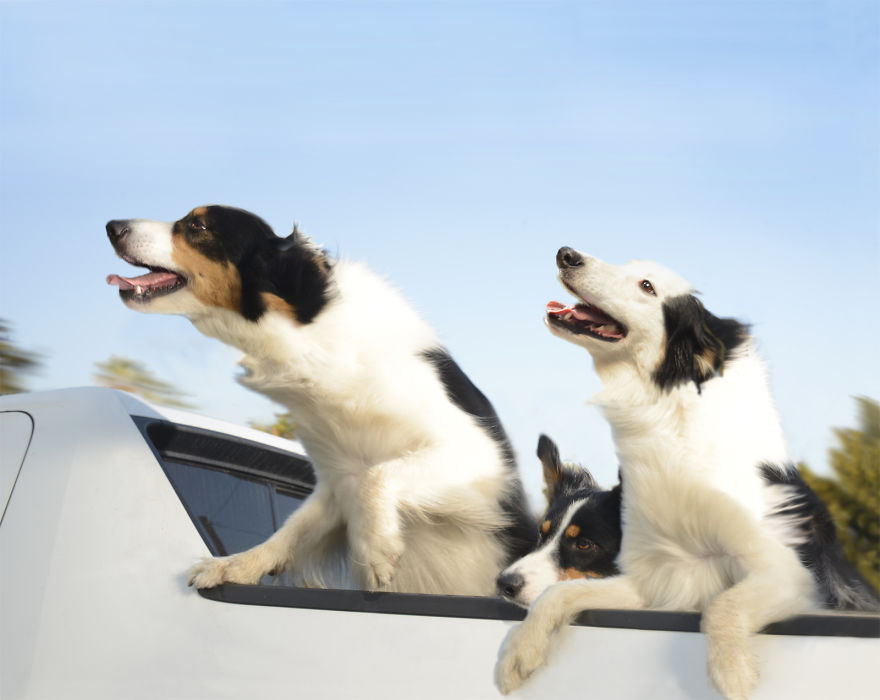 Holiday Joyride! Holiday Joyride!