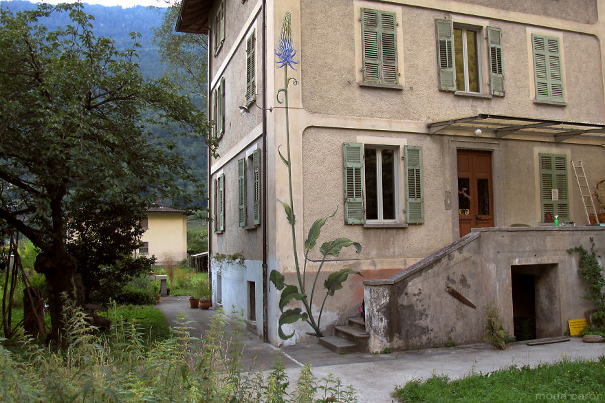 I Paint Weed Murals That Slowly Take Over The City (Gifs+Video)