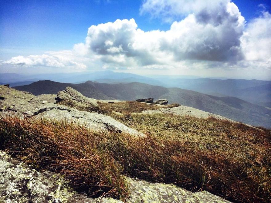 The Green Mountains As Seen From Camel's Hump, Vt - C.m. Jones