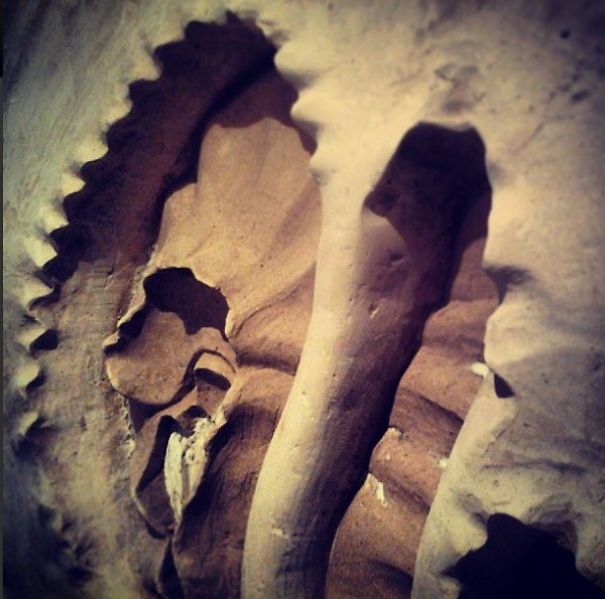 Decoration Idea For Your Walls - Jellyfish From Plaster