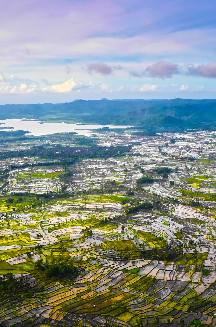 Lombok Ricefield, Indonesia.