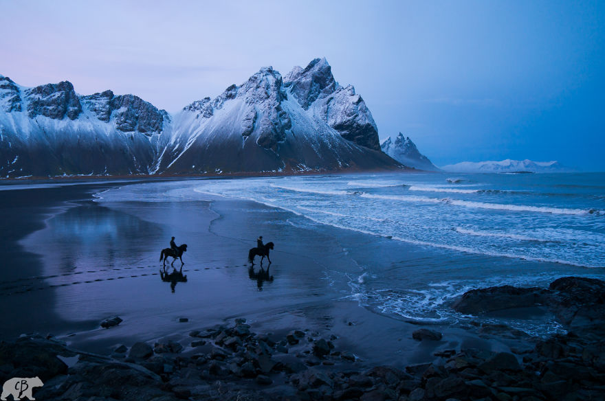 Horses On Hofn Beach