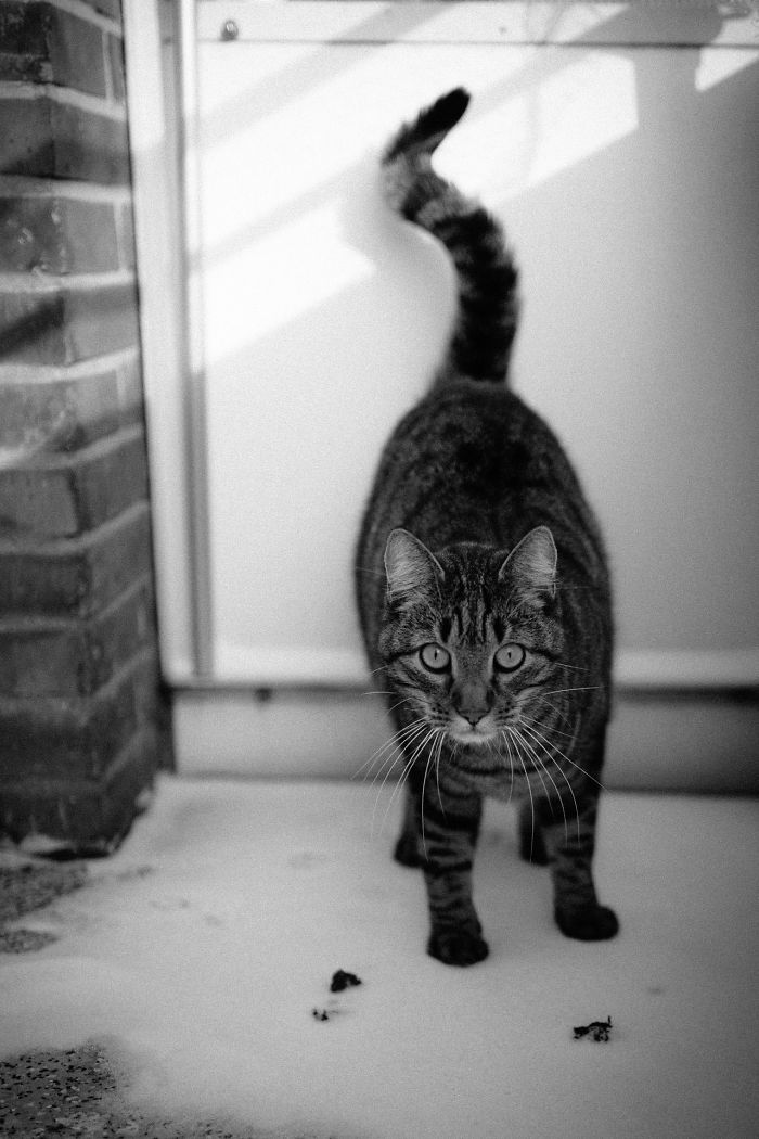 First Time In The Snow