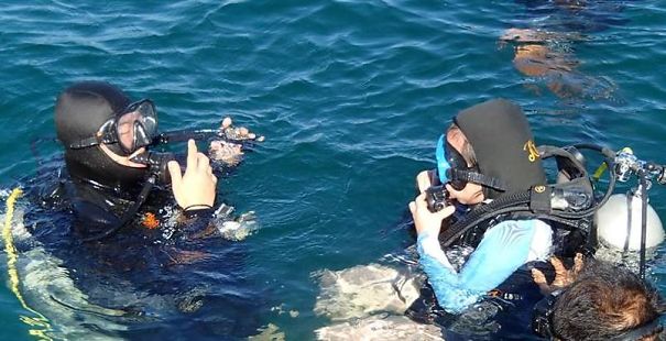 Scuba Diving Buddies