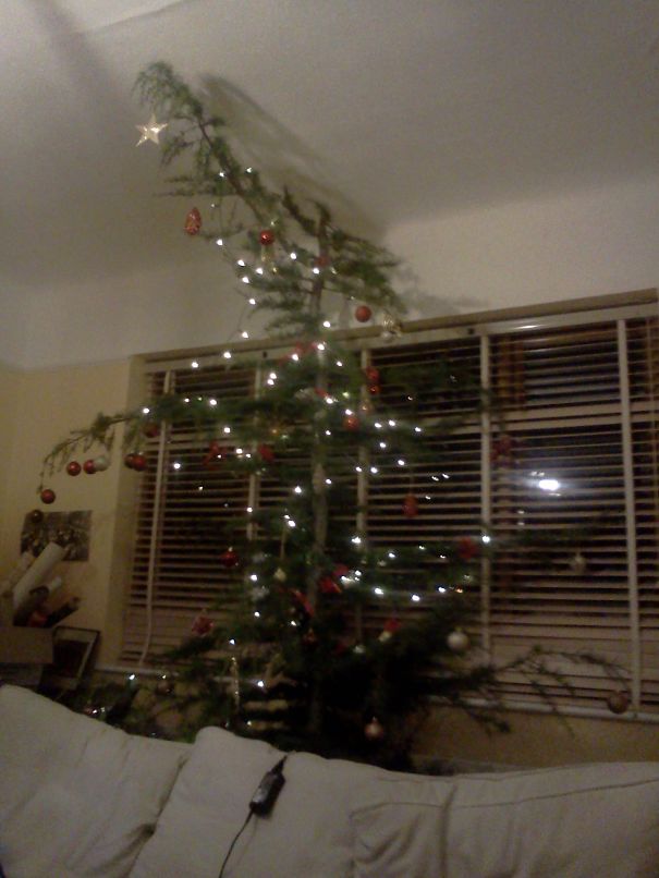 The Middle Section Of A 30 Footer Recycled.