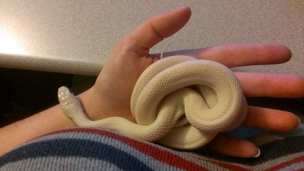 I'm Going To Nap Right Here. Don't Mind Me...