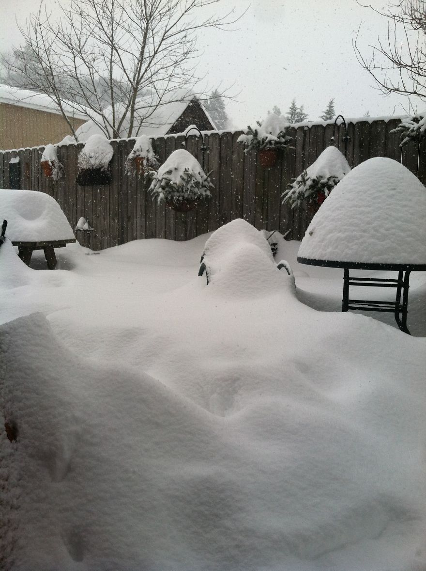 Snow On The Deck~