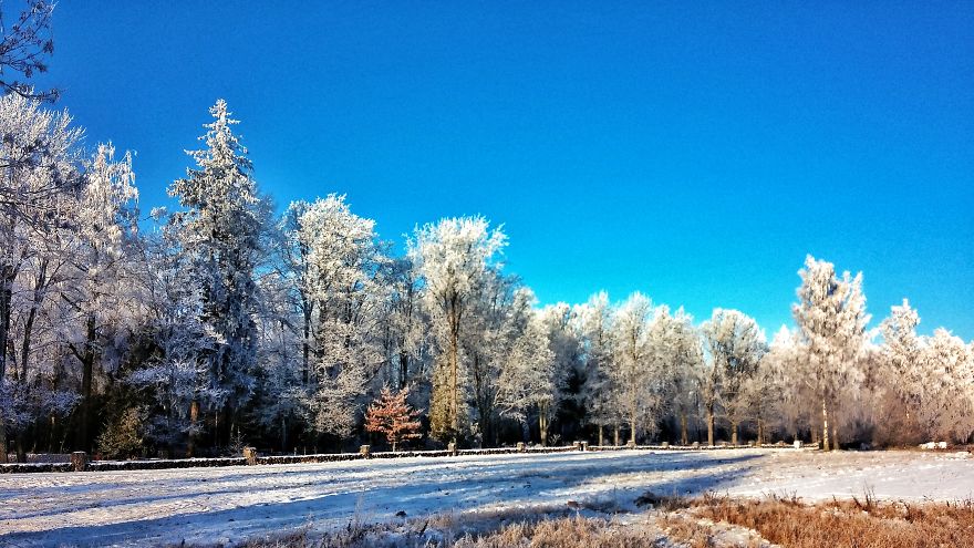 First Frost In Northern Latvia
