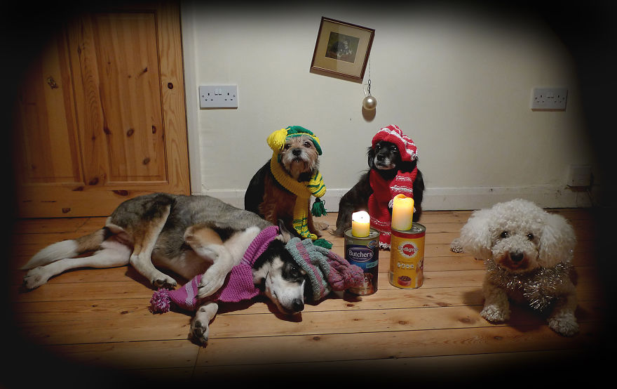 My Christmas Cards For The Last Eight Years My Christmas Cards For The Last Eight Years