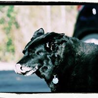 karin_coleman_315 avatar