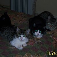 547bf01f8a544 avatar