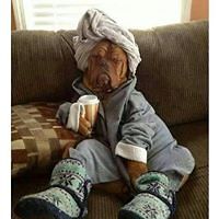 mildrid_johnson avatar