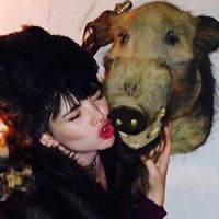 rachellemccoy avatar