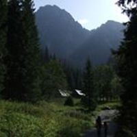 anna_szczykutowicz_1 avatar