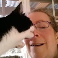 amy_bradley_18062 avatar