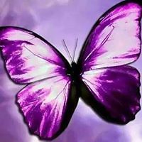 janet_chernin avatar