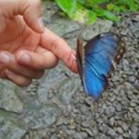 jennifer_gabriela_106 avatar