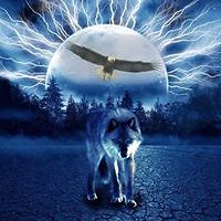 lynn_calkins_5 avatar